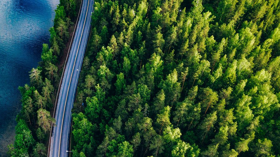 Luftaufnahme einer Straße, die durch einen dichten Wald führt, umgeben von grünen Bäumen und natürlicher Vegetation.